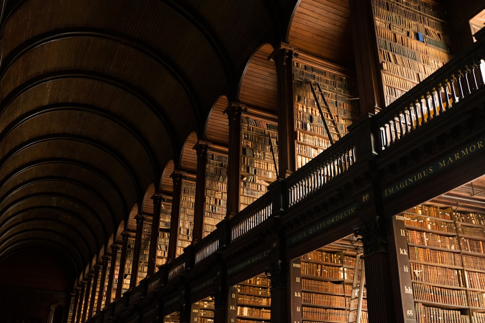 bookshelves in library