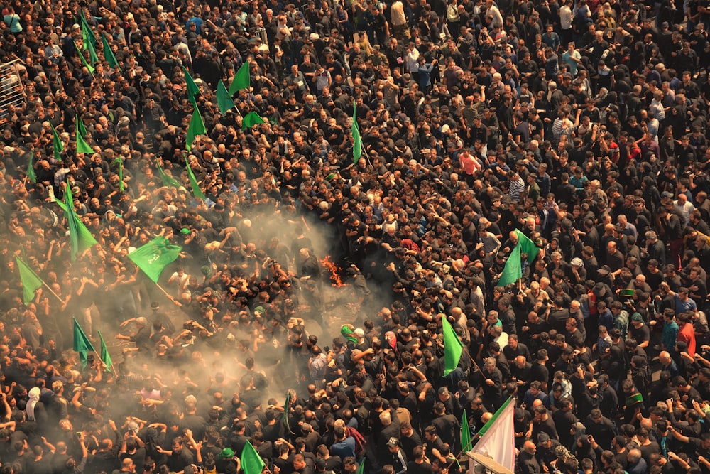 crowd of people holding green flags