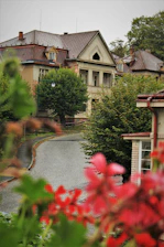 Charming exterior view of Oxforddream guesthouse nestled in a quiet Oxford street