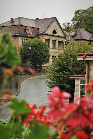 Charming exterior view of Oxforddream guesthouse nestled in a quiet Oxford street