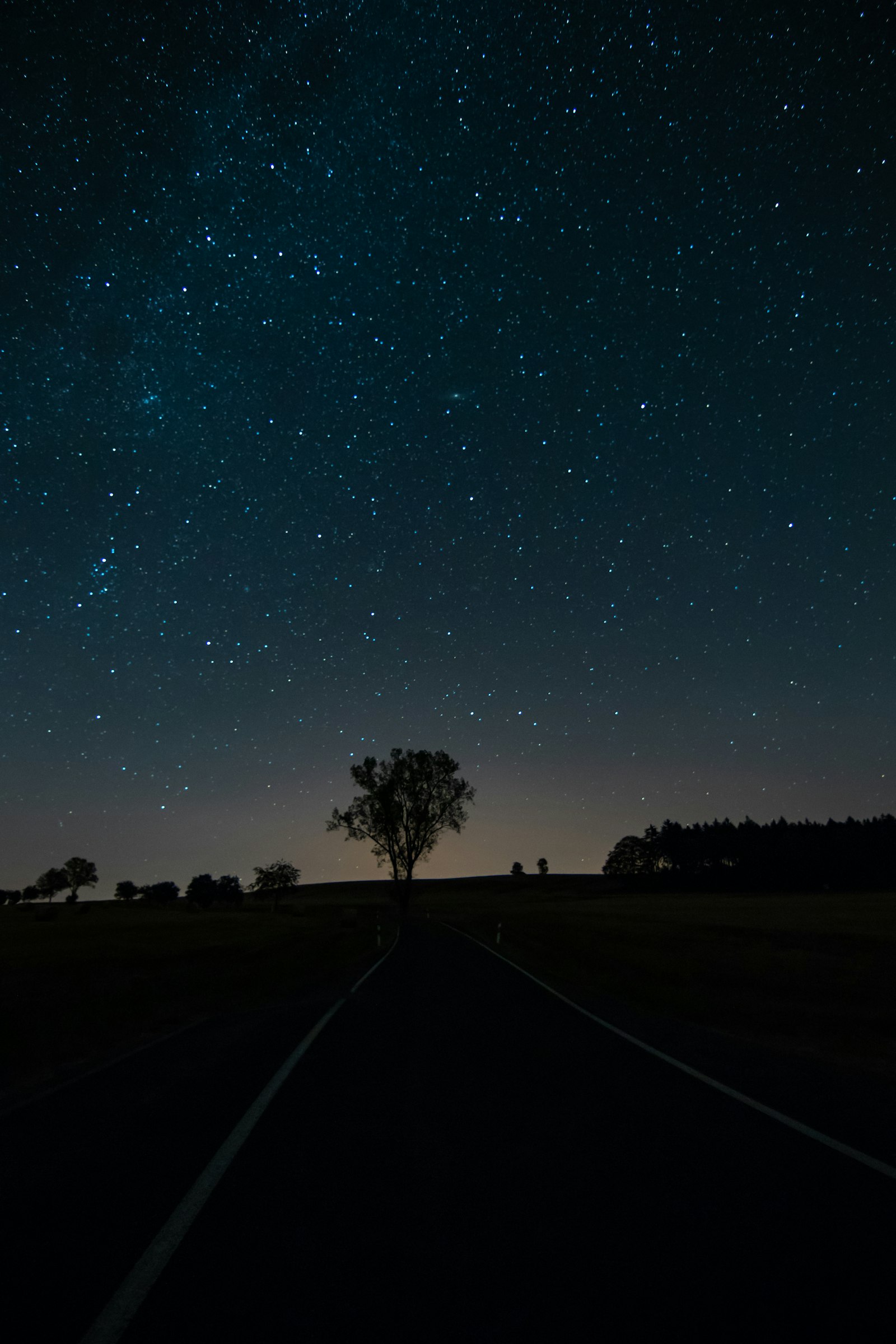 Canon EOS 80D + Tokina AT-X Pro 11-16mm F2.8 DX sample photo. Silhouette of road photography