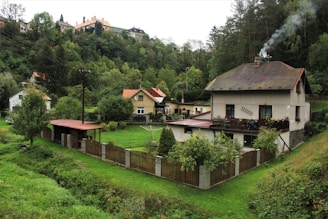 Several houses surrounded by lush greenery and trees in a hilly area. The houses are fenced, and there is smoke coming from the chimney of the largest house, indicating a cozy atmosphere. The landscape is serene, with vibrant grass and dense forest in the background.