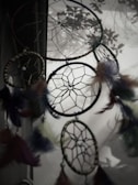 A group of dreamcatchers with intricate web patterns hang in front of a window. Feathers and beads adorn the sides, adding texture to the delicate design. The background is softly lit, with silhouettes of trees visible outside, creating a serene and mystical atmosphere.