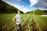 Farmer inspecting healthy crops in a sunny field, smiling with confidence.