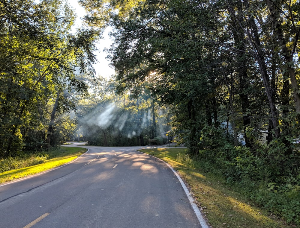 green trees near road during daytime