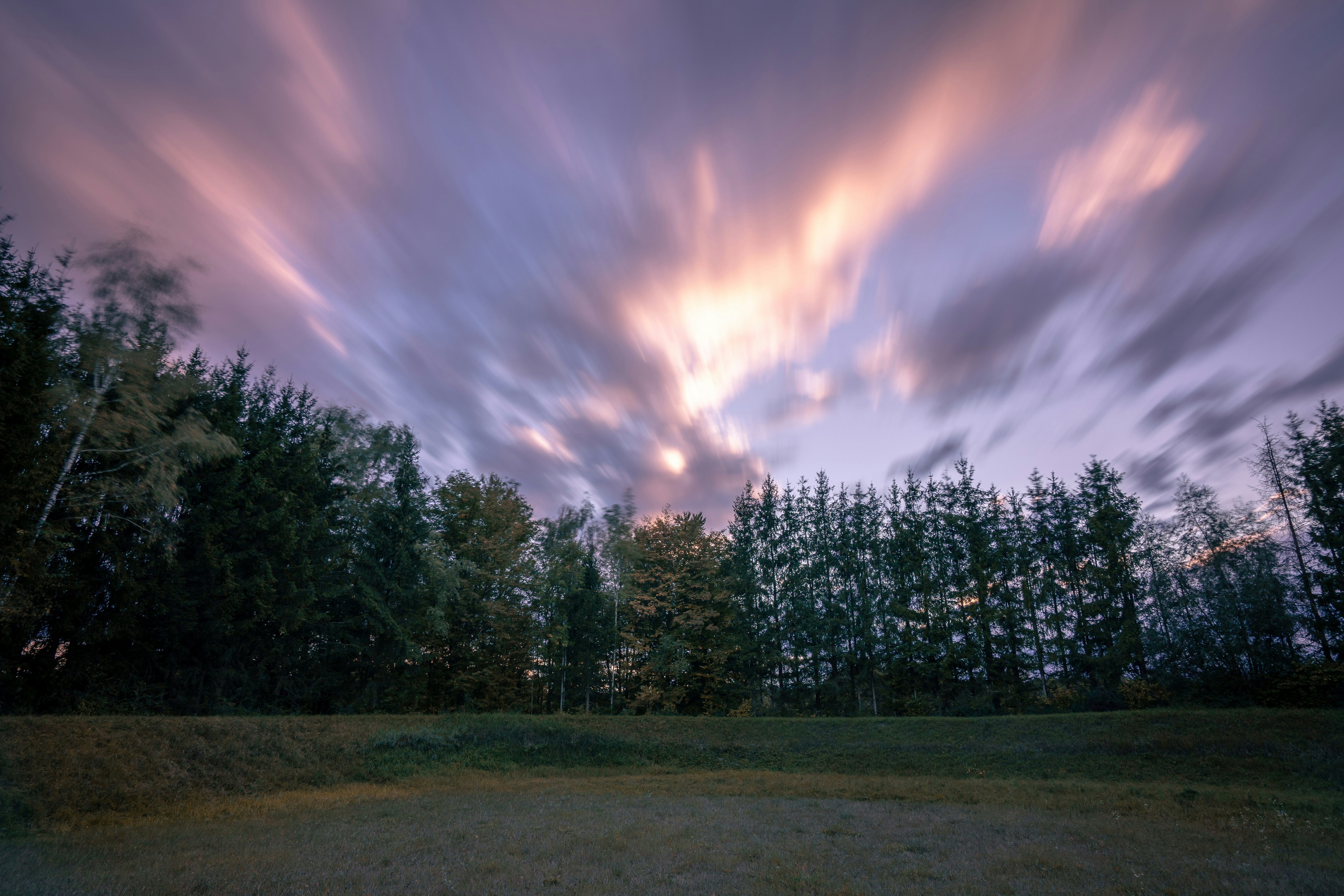 a field with trees and clouds in the background