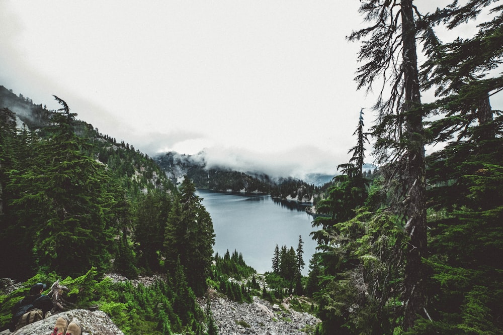 lake near green leafed trees under cloudy sky at daytime