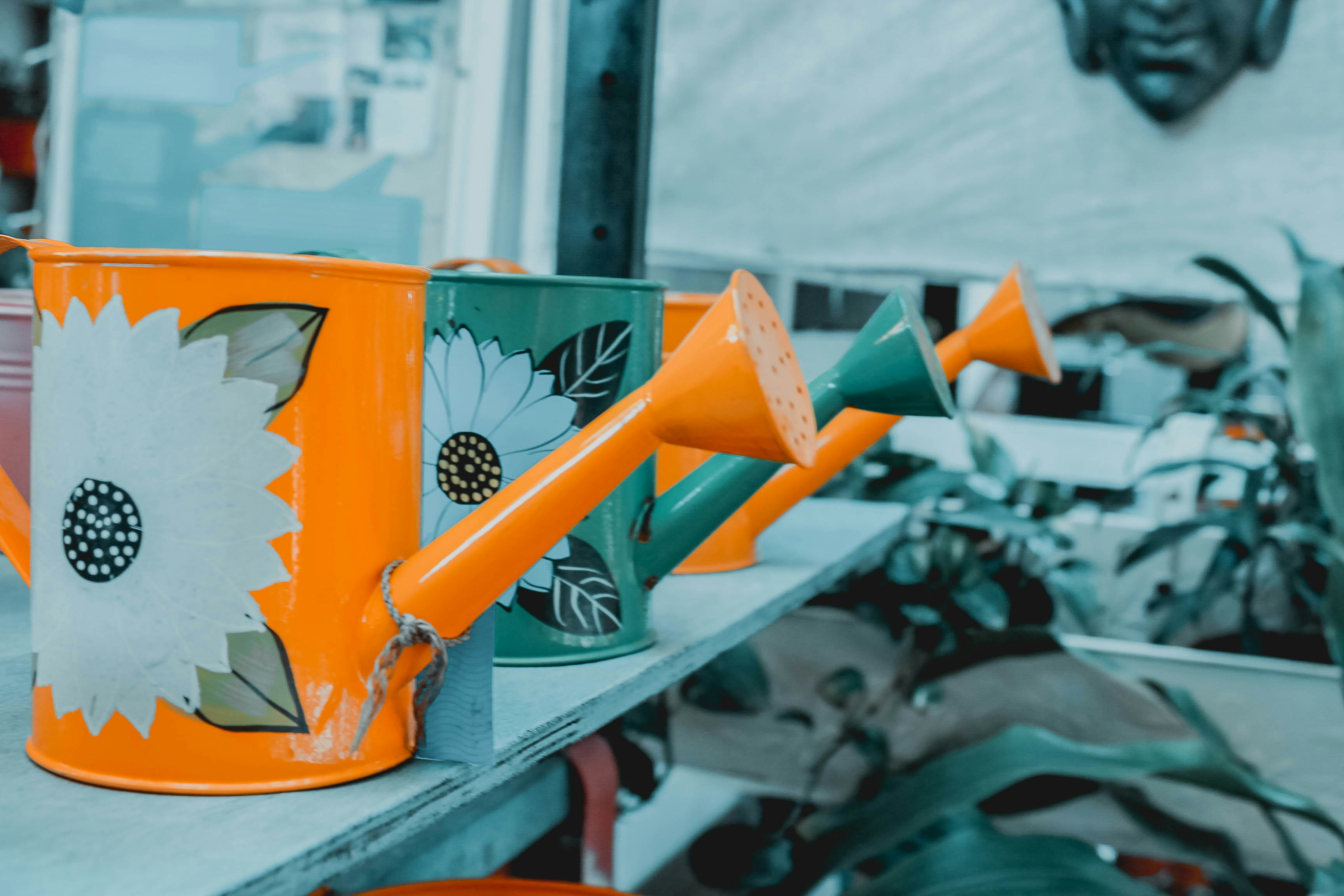 Photo by devraj_ishtyles