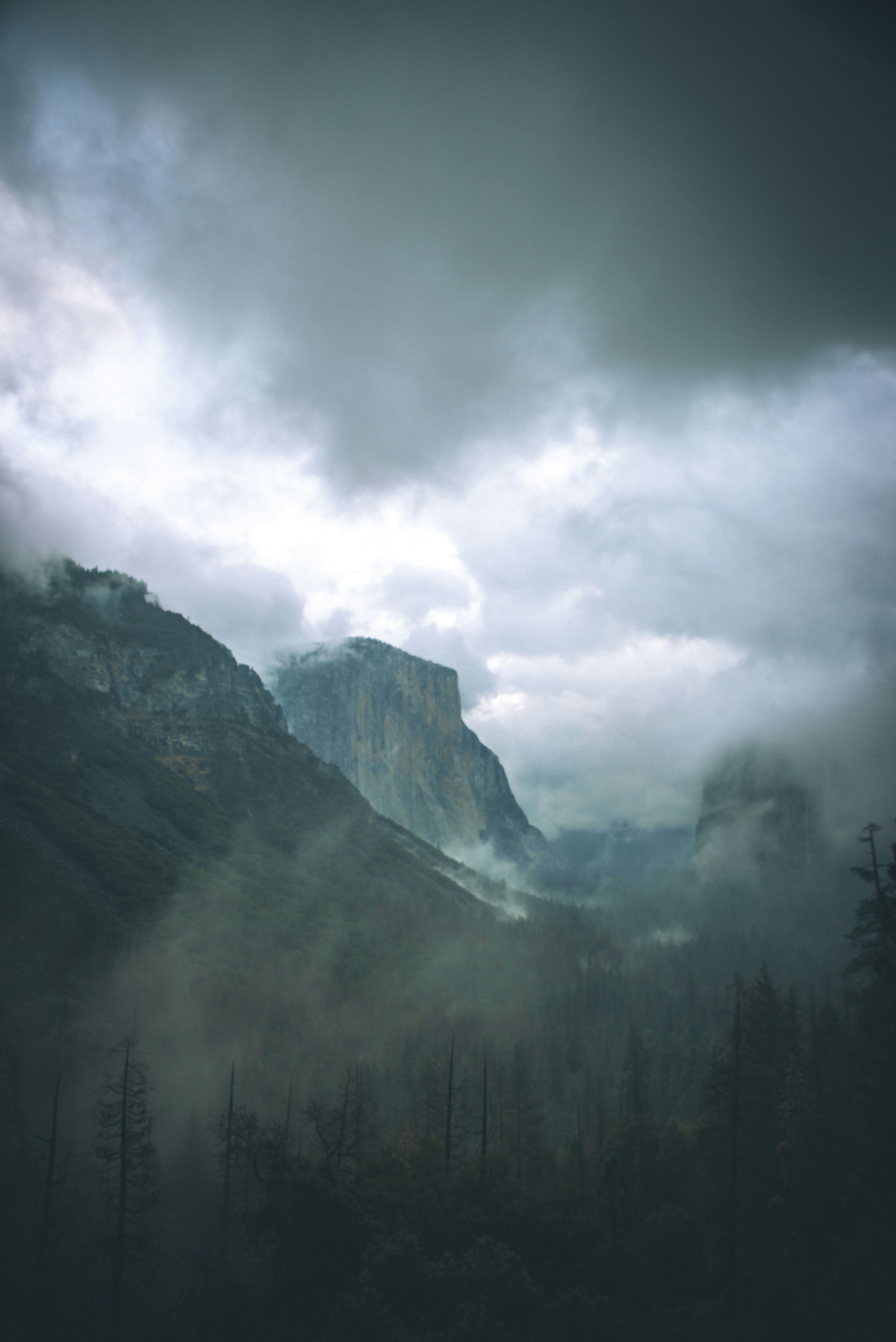 Photo by mischievous_penguins