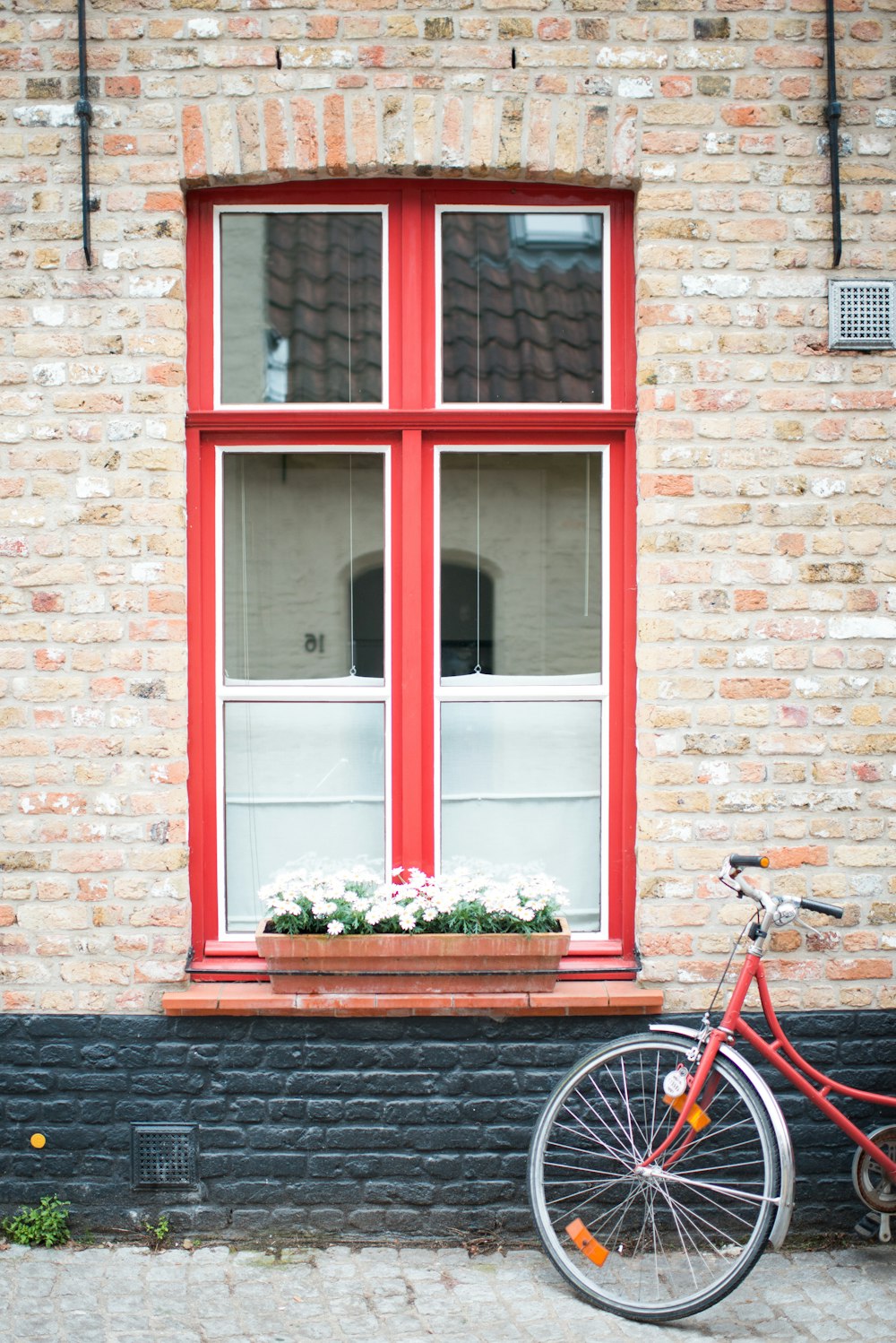 red and white wooden framed window with potted flowers