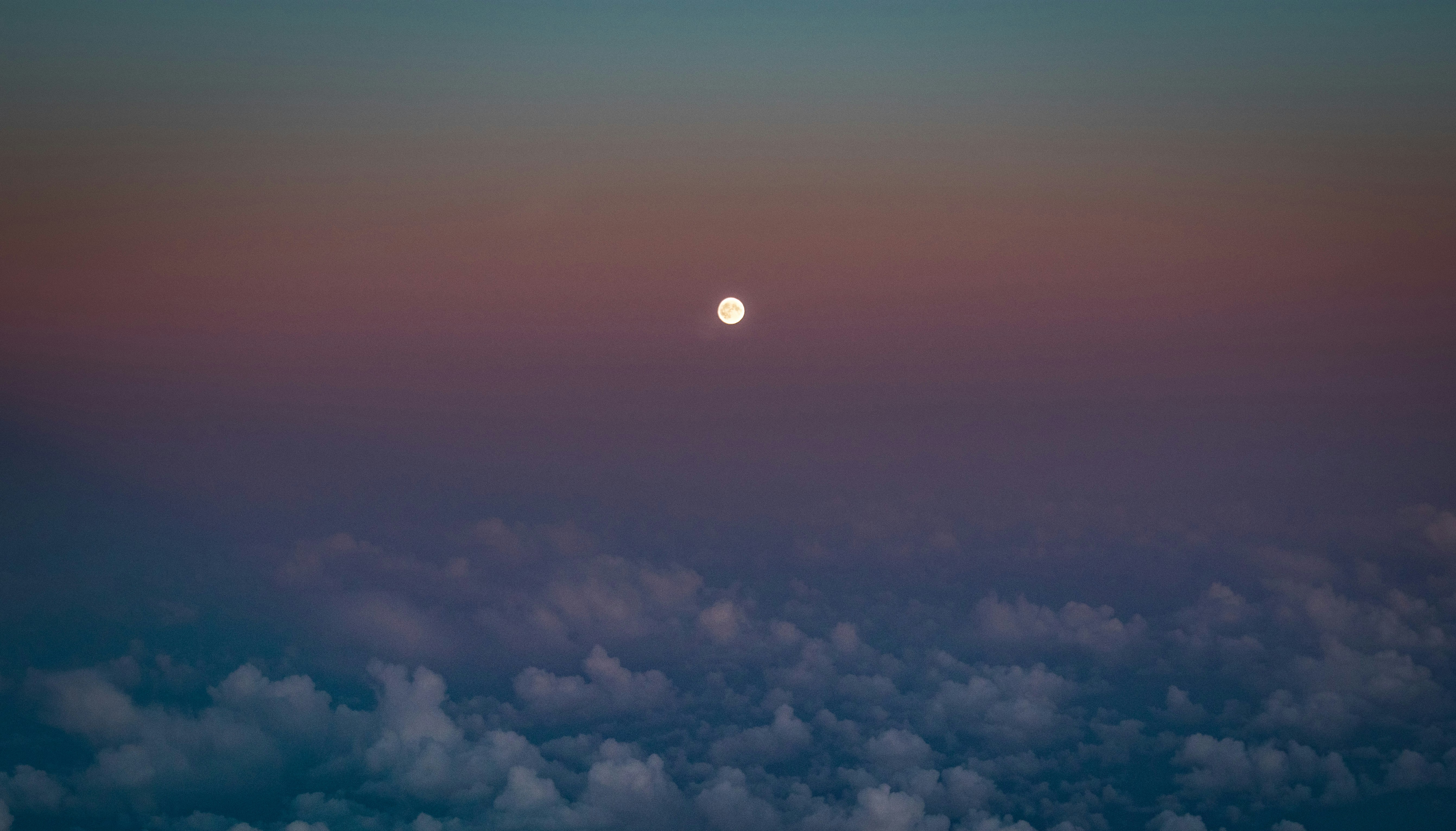 Photo by lachlangowen