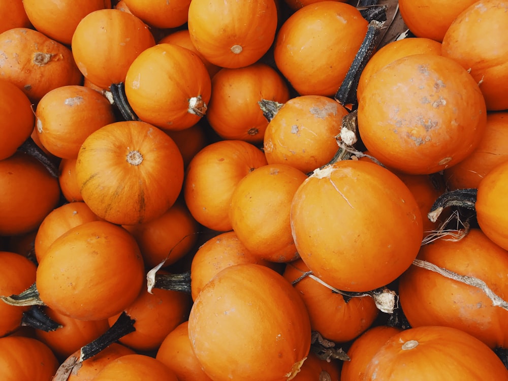 squash lot