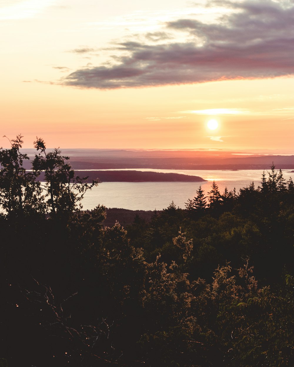 trees across body of water during golden hour