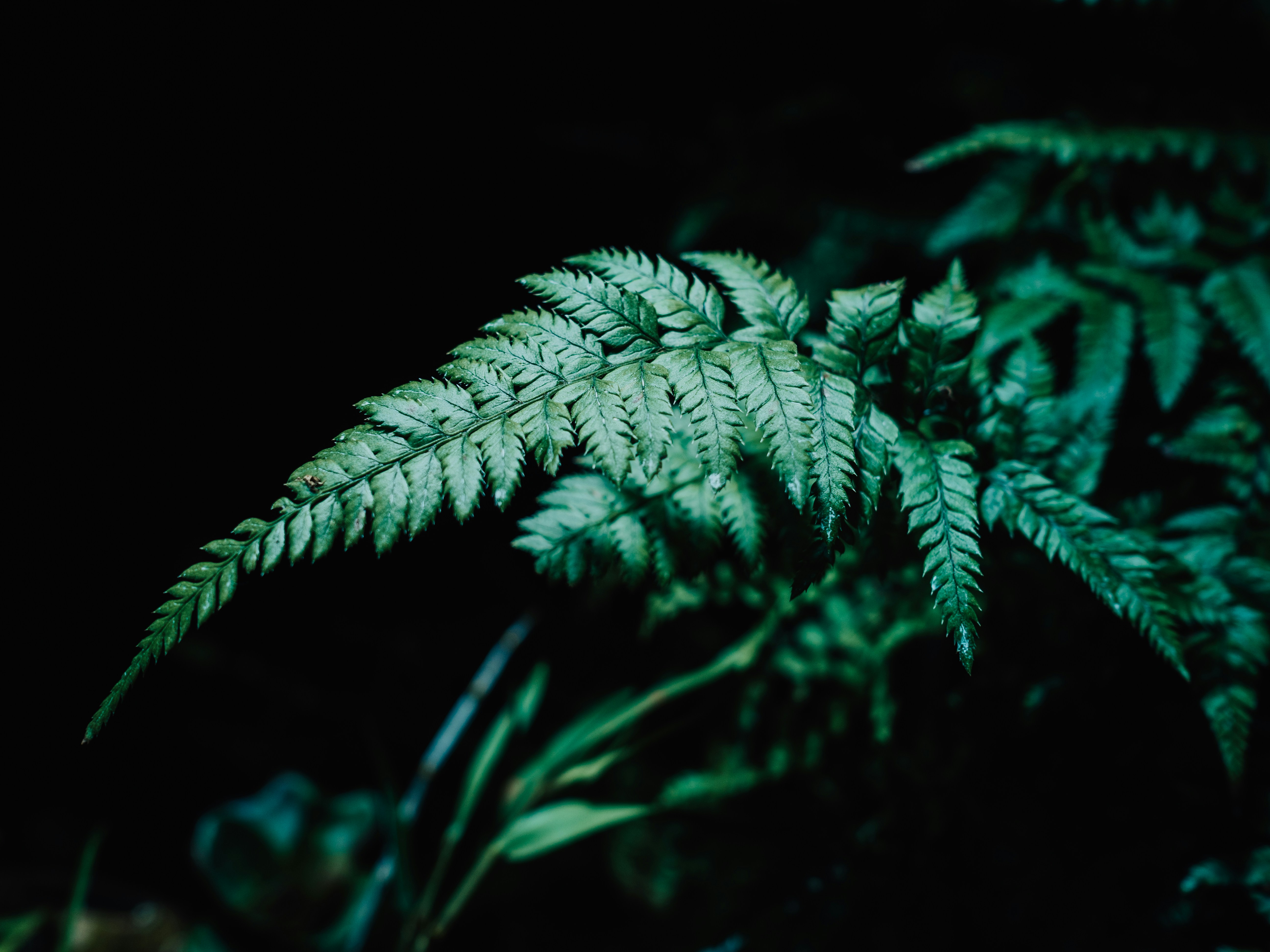 Photo by photohunter