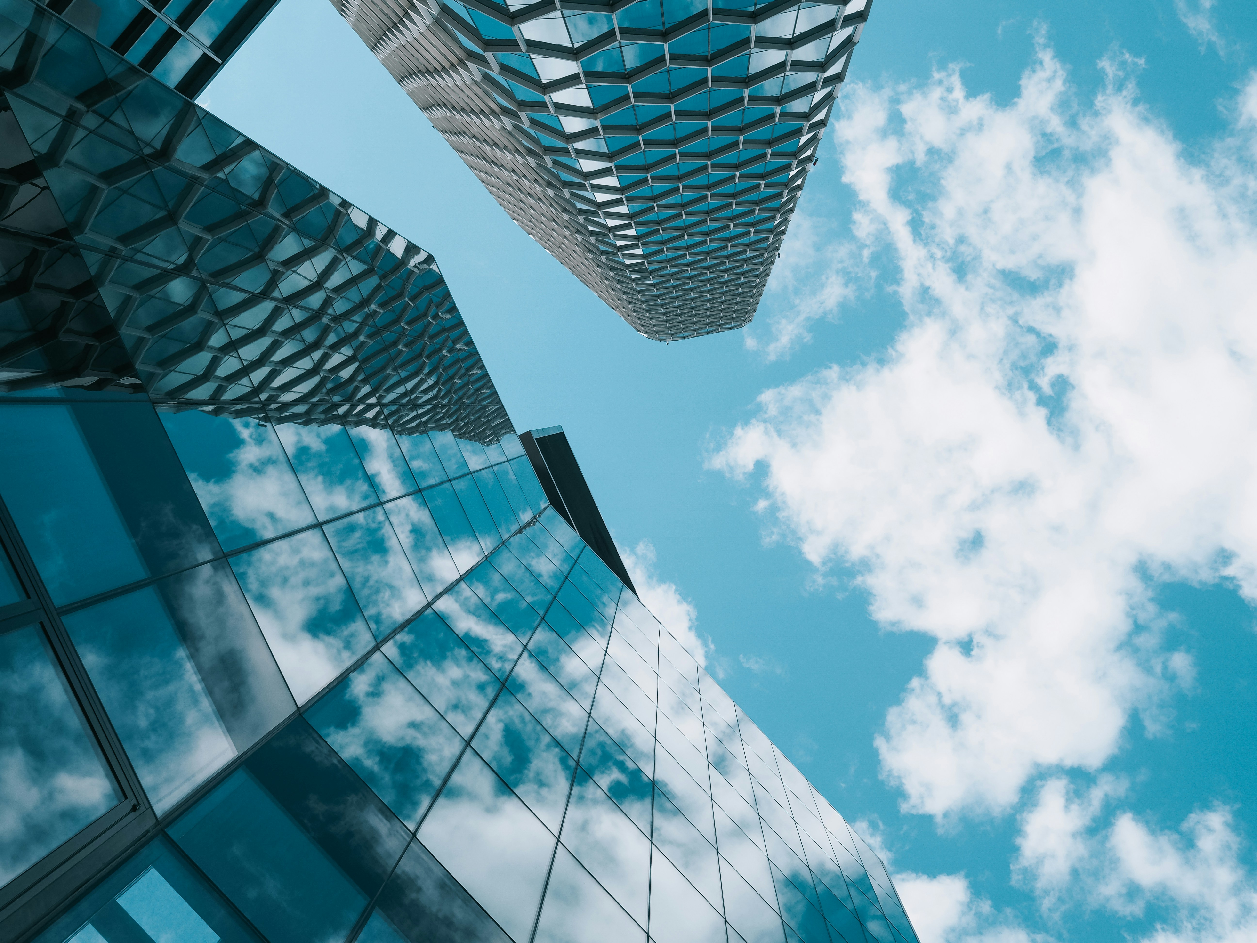 Photo by photohunter