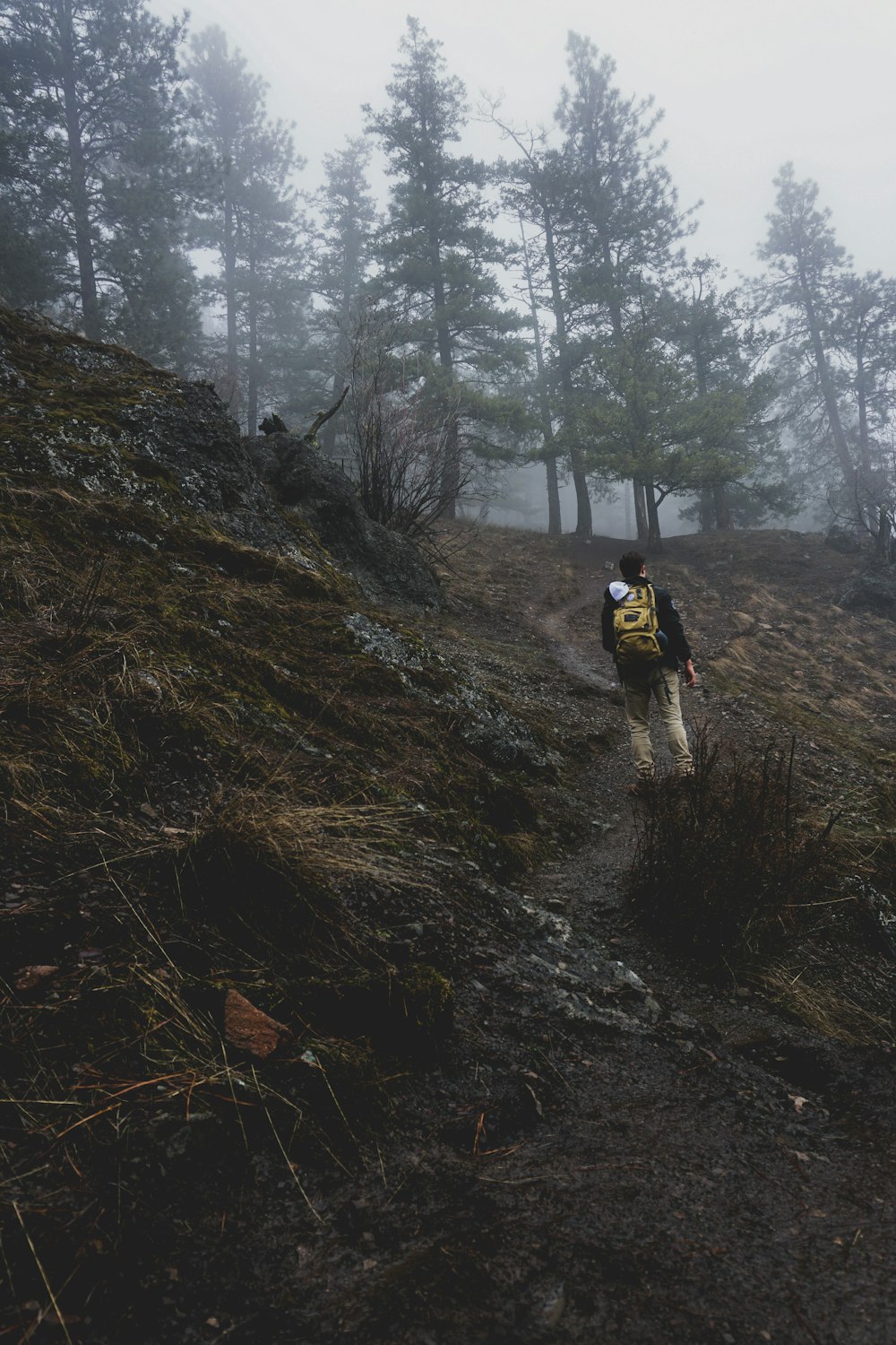 man on mountain