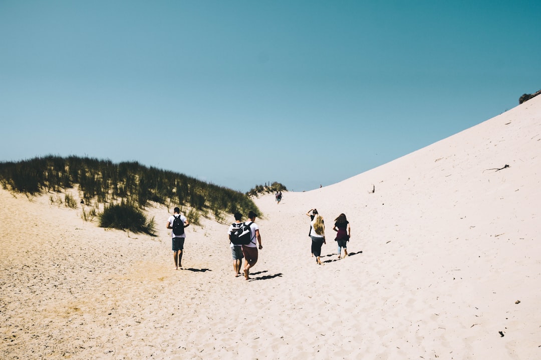 people walking on sand near grass field during daytime