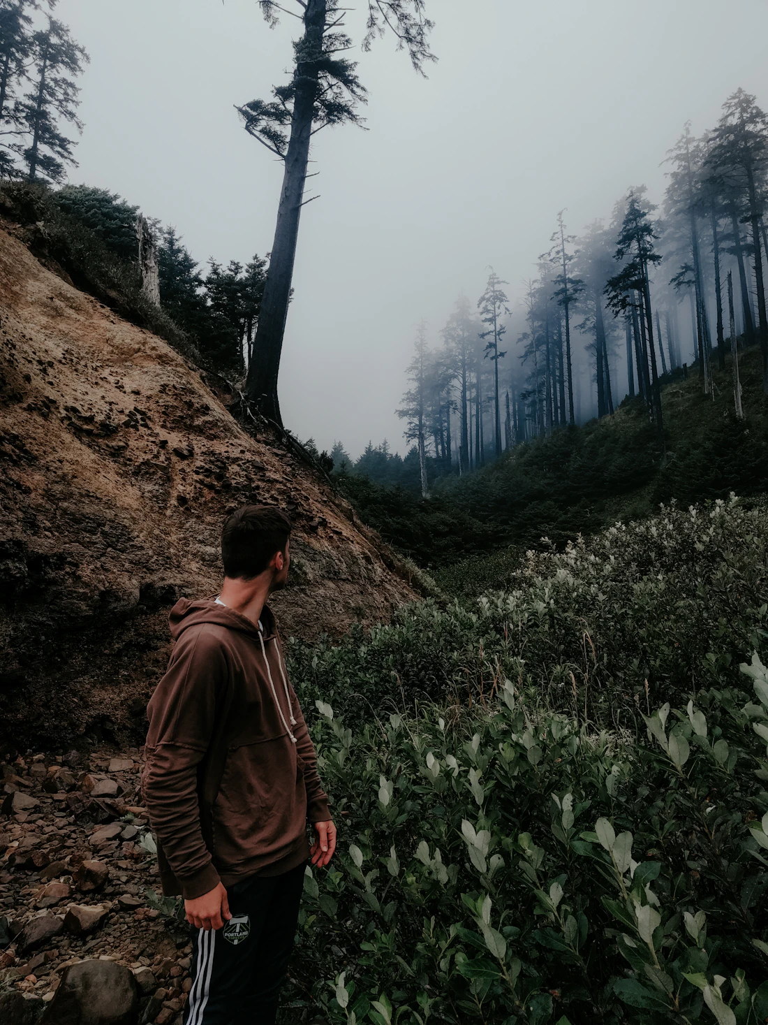 Mann steht nachdenklich in einer Waldlandschaft