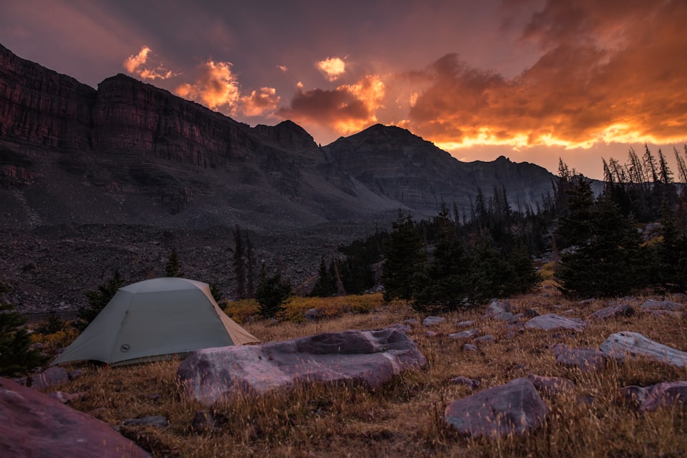 white dome tent