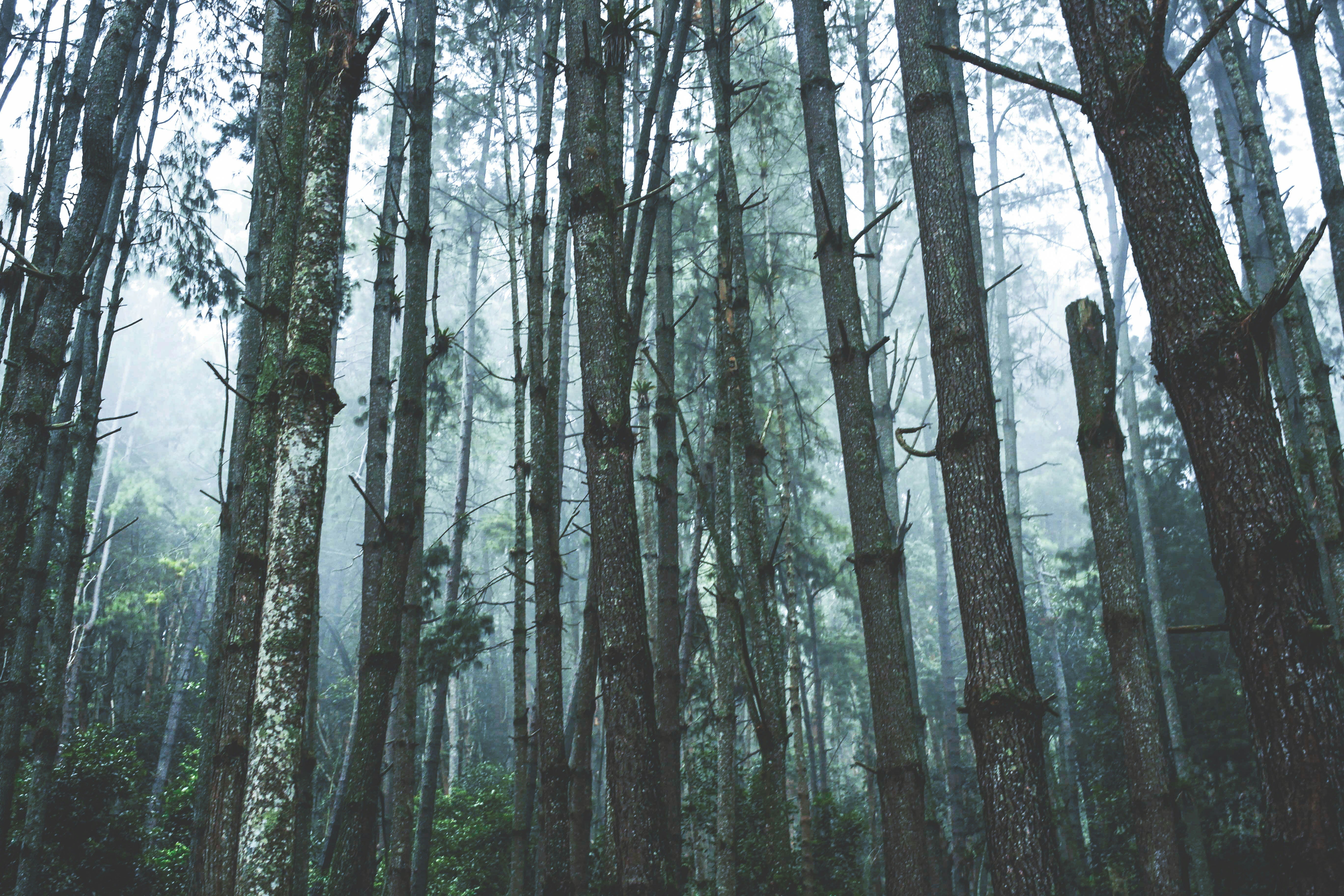 Photo by luciasuescun