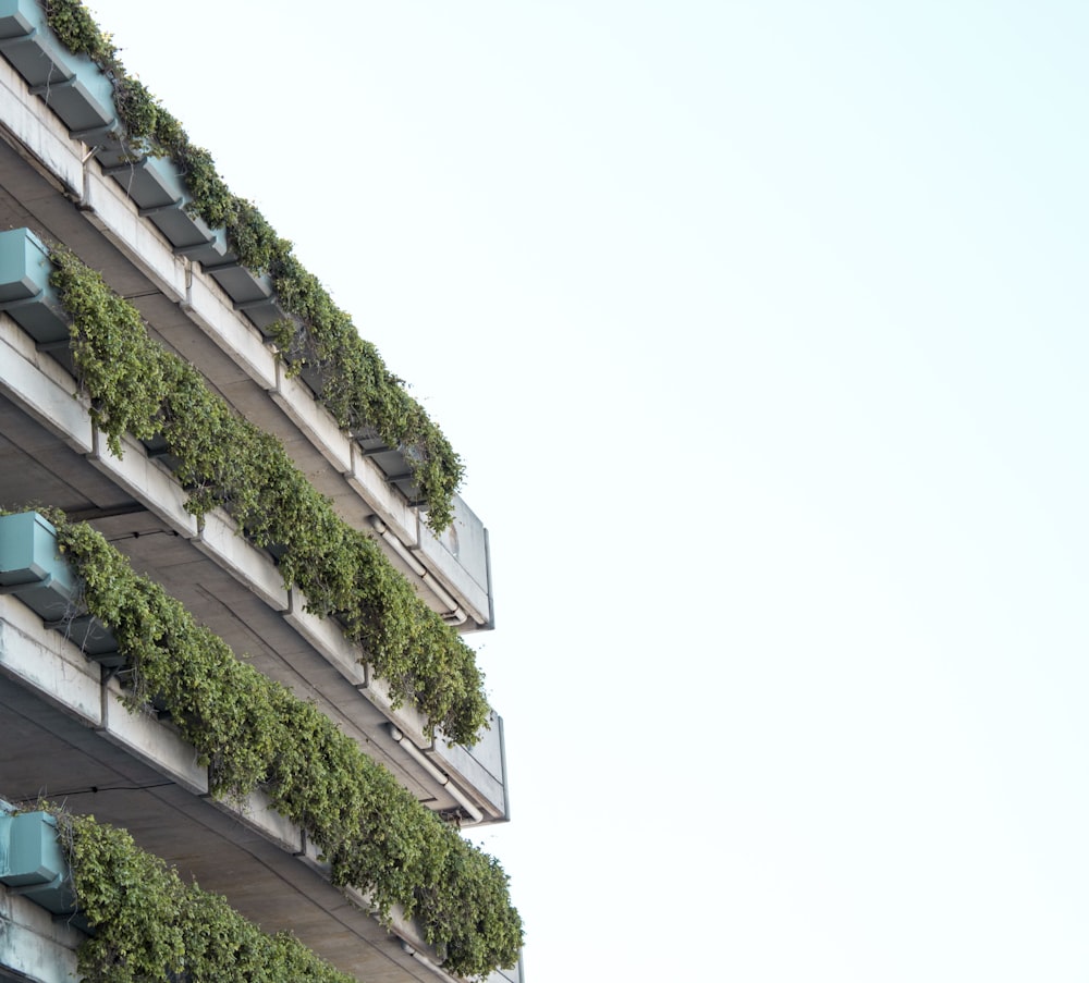 close-up photography of white concrete building