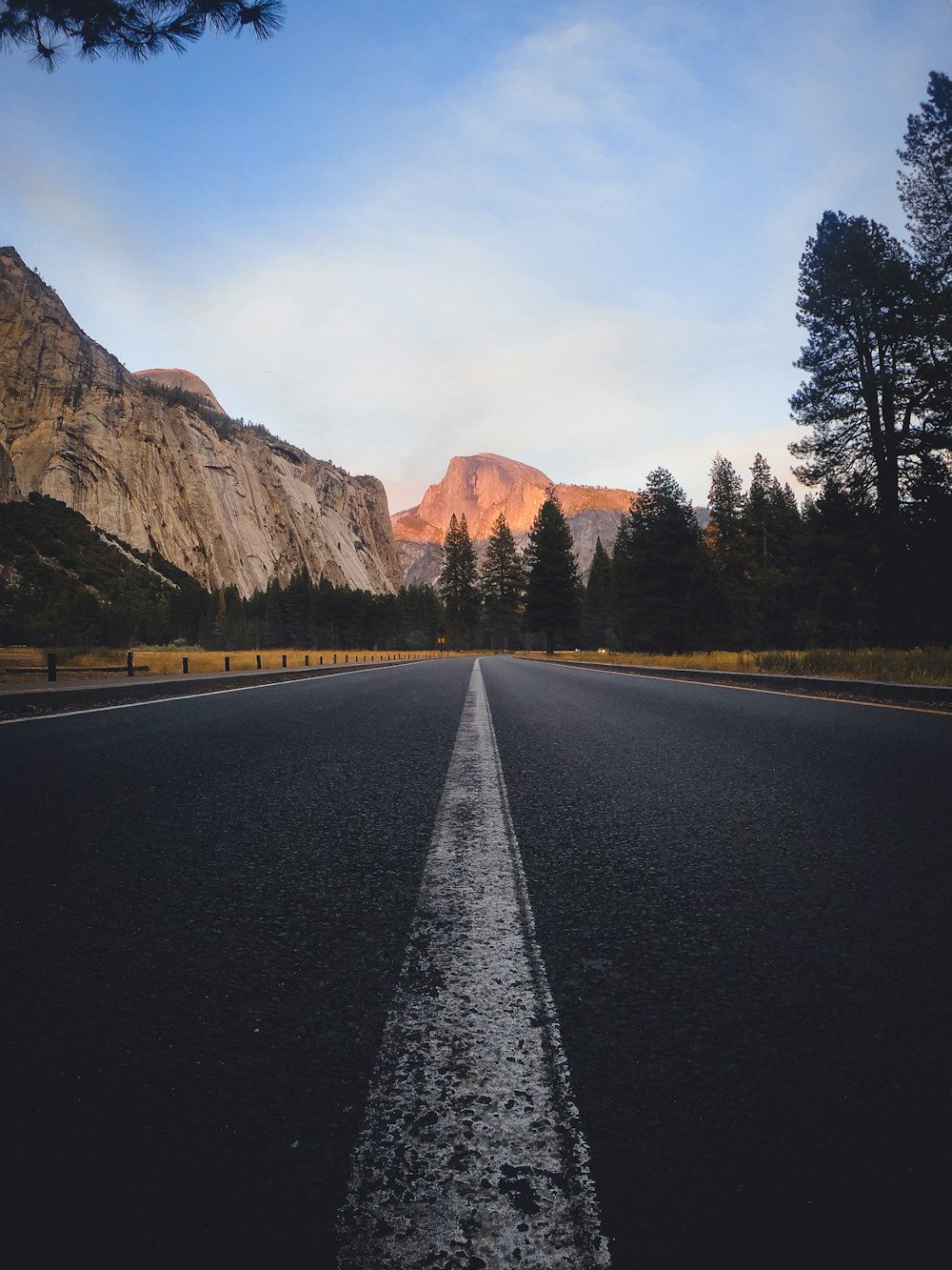 empty concrete road beside trees