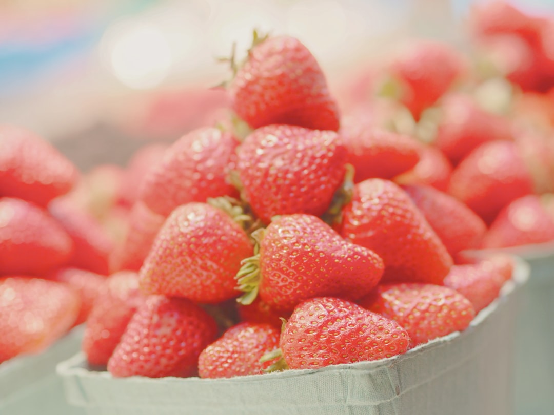 琵琶水果季節指南：枇杷，春季水果的美味代表!