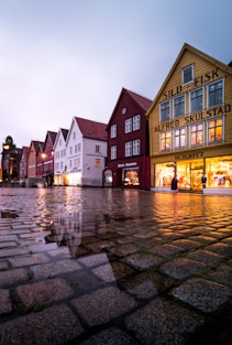 assorted-color houses