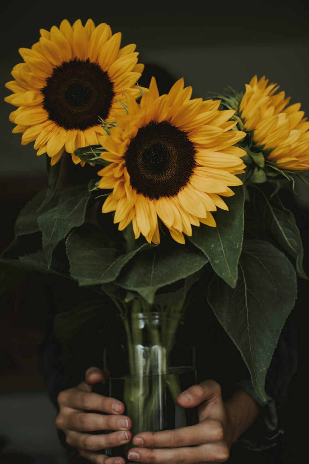 trois tournesols jaunes centre de table