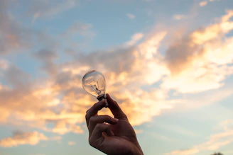 A hand holding a small bulb with a city skyline blurred in the background at dusk.