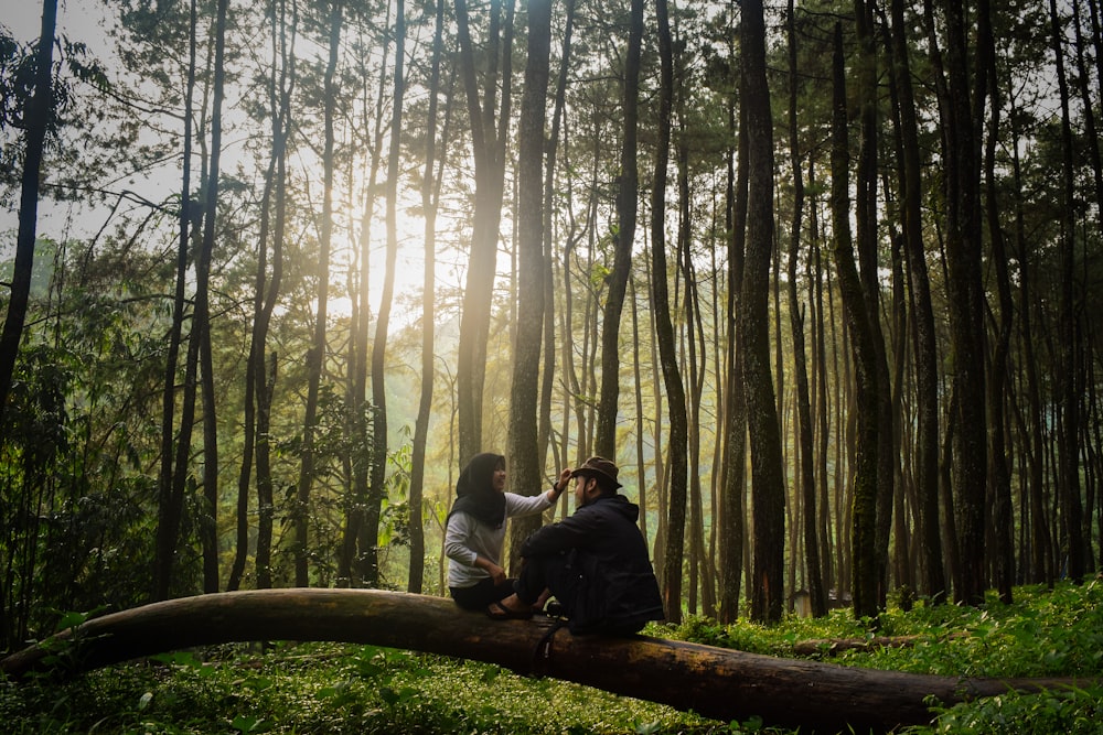 man and woman sitting on brown tree log