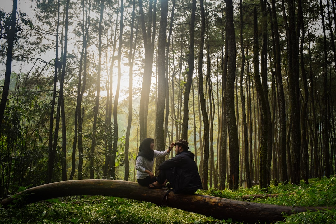 Forest photo spot Bogor Ragunan