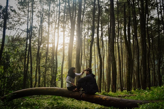 man and woman sitting on brown tree log in Bogor Indonesia