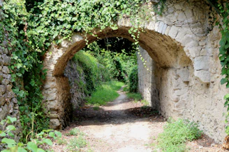 A sunlit ancient stone archway covered in ivy, inviting visitors to step back in time.