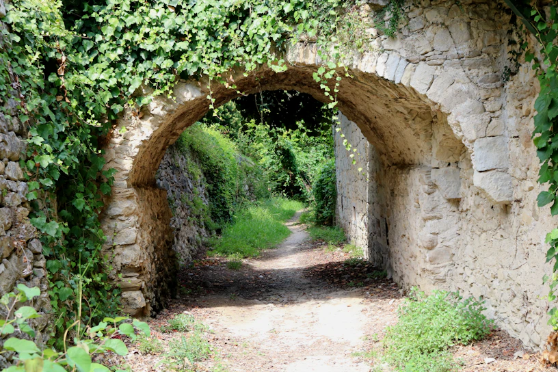 A sunlit ancient stone archway covered in ivy, inviting visitors to step back in time.
