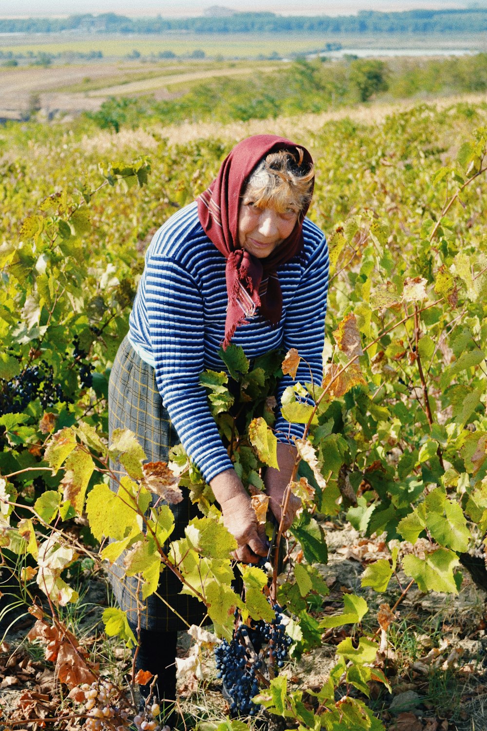 woman standing while holding plant during daytime