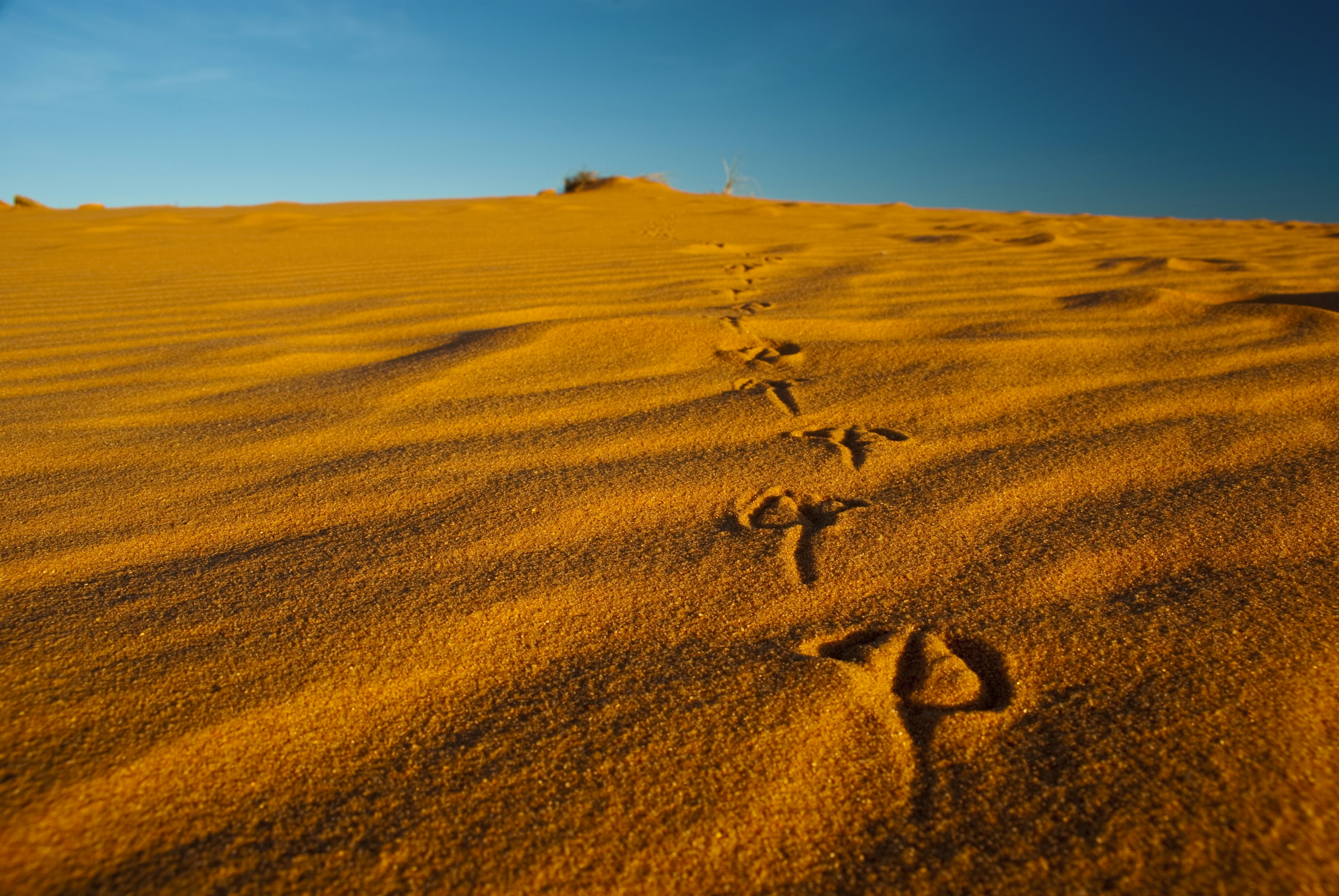 Photo by martysouthwell