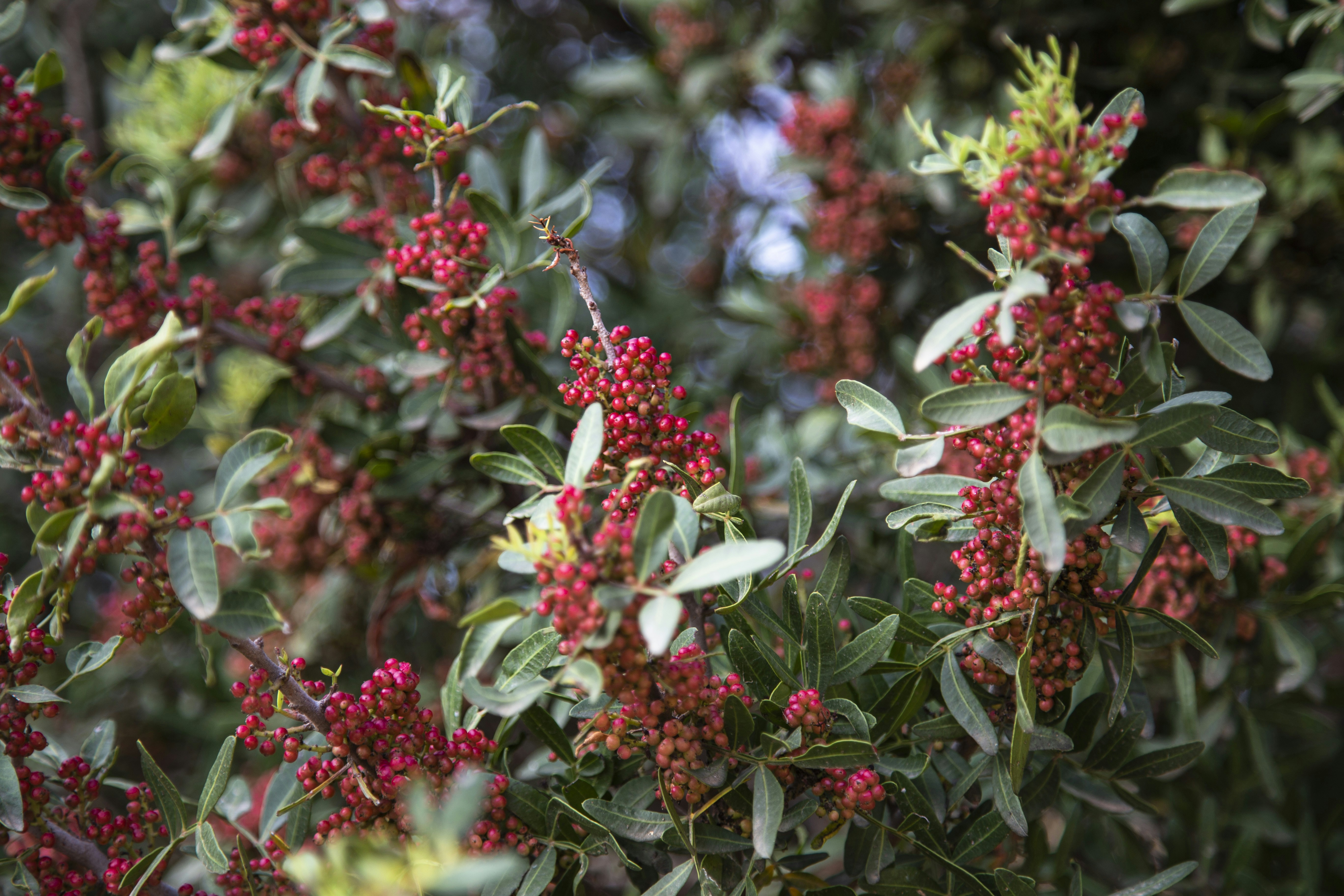 Photo by milada_vigerova