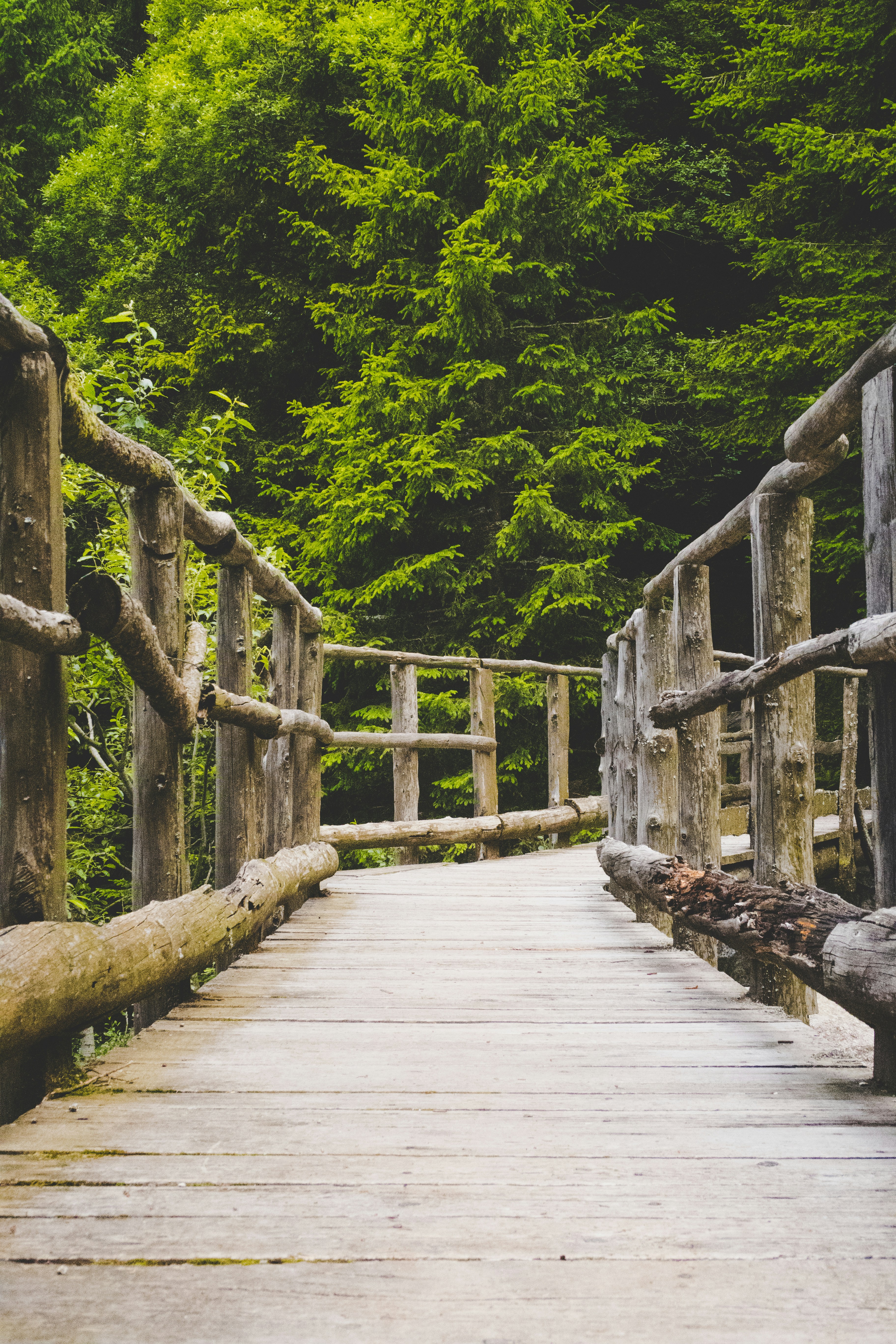 Photo by conti_photos