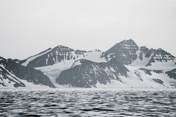 The Bear Witness of Climate Change