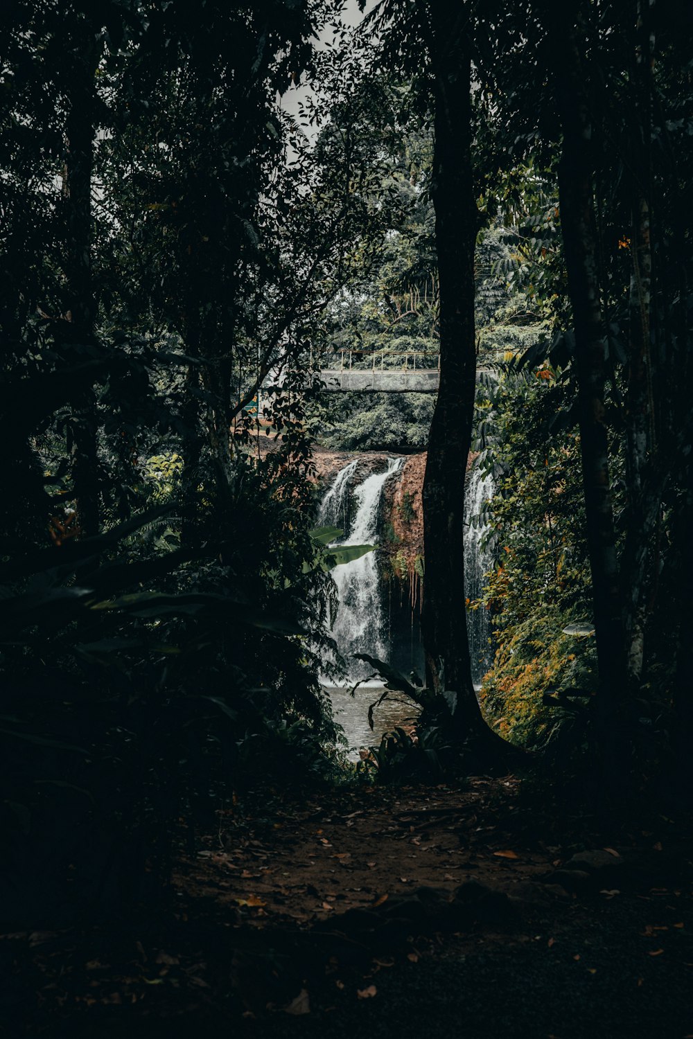 view of waterfalls through forest trees