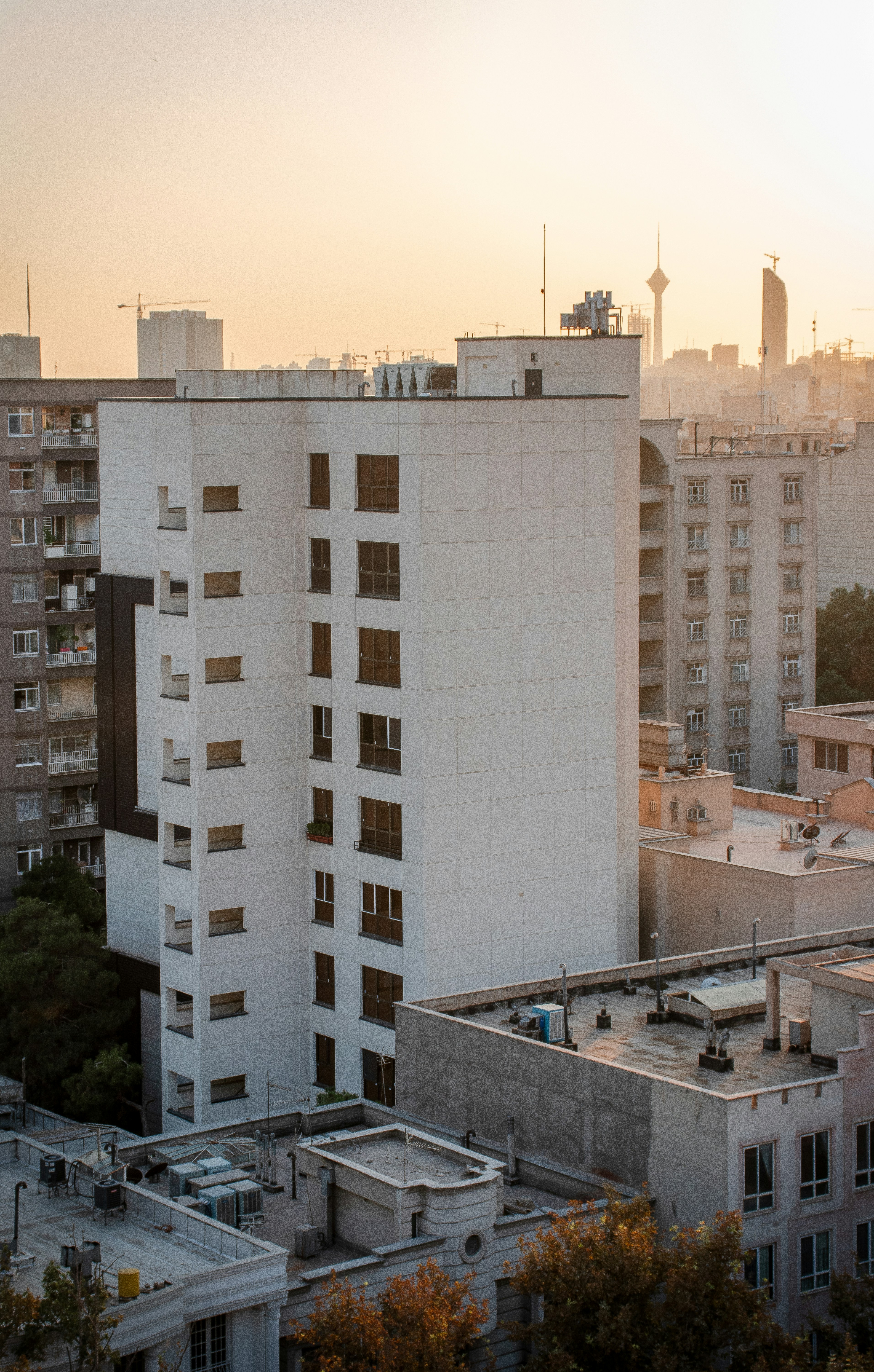 Photo by behy_studio