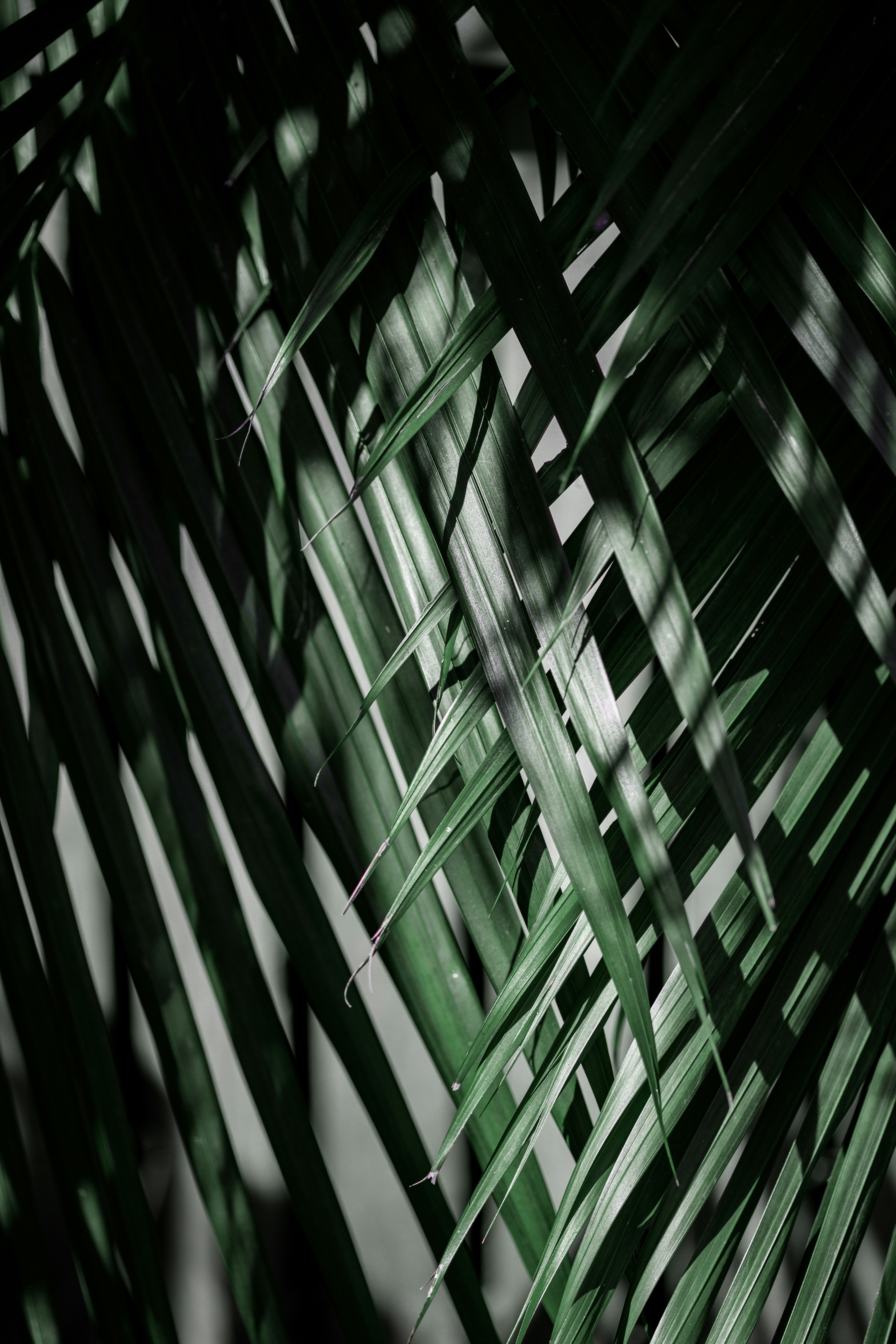 Photo by yiannikantros