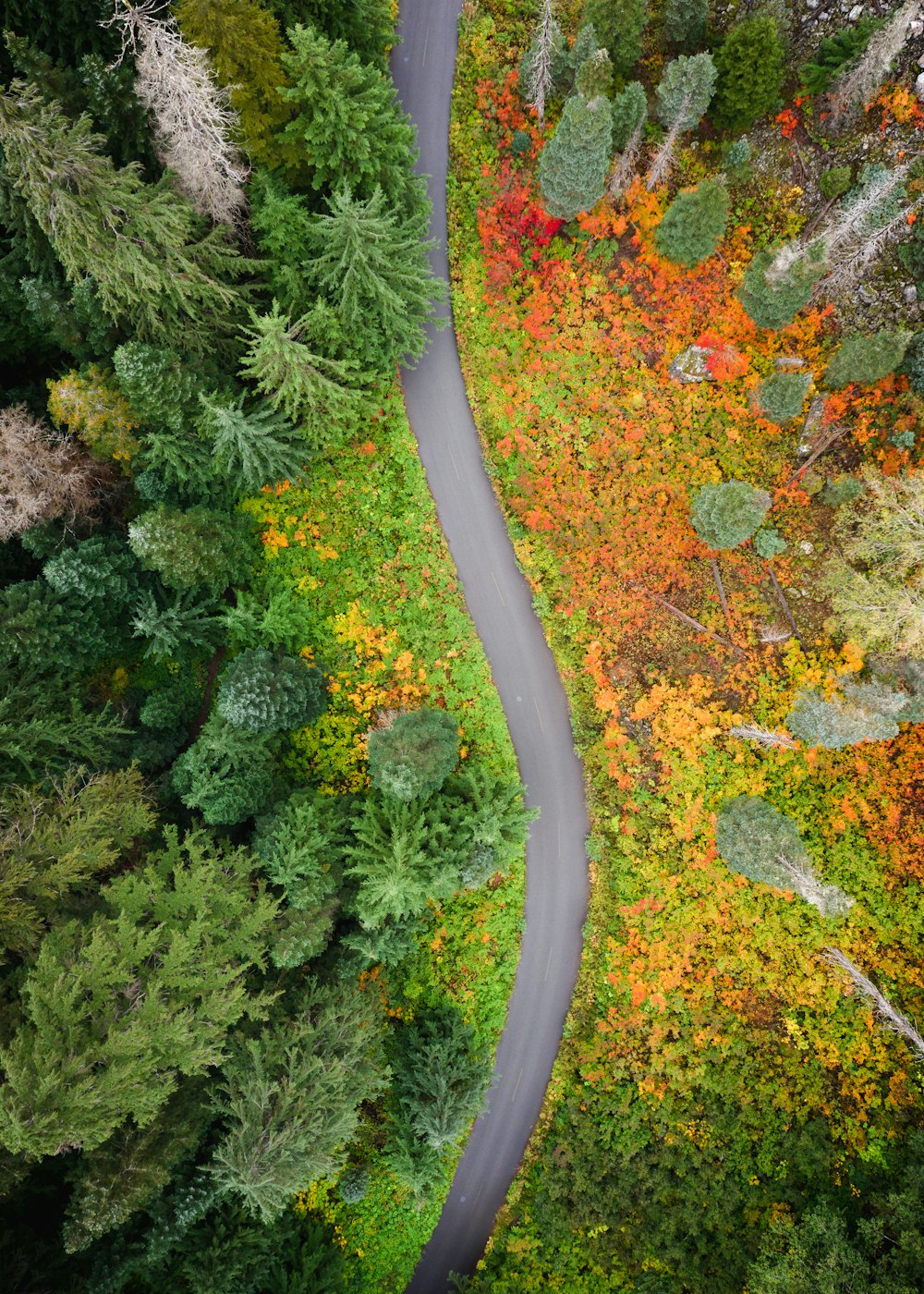 aerial shot of landscape