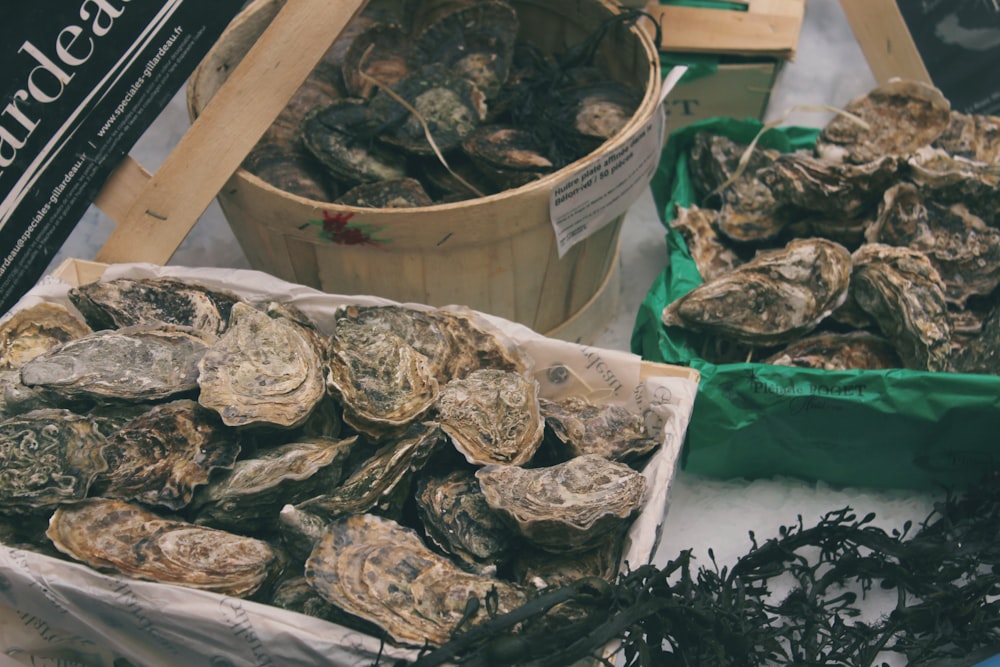 oysters on bucket and tray