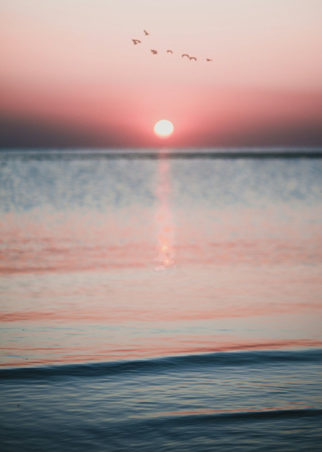 photo of Situbondo Regency Ocean near Baluran