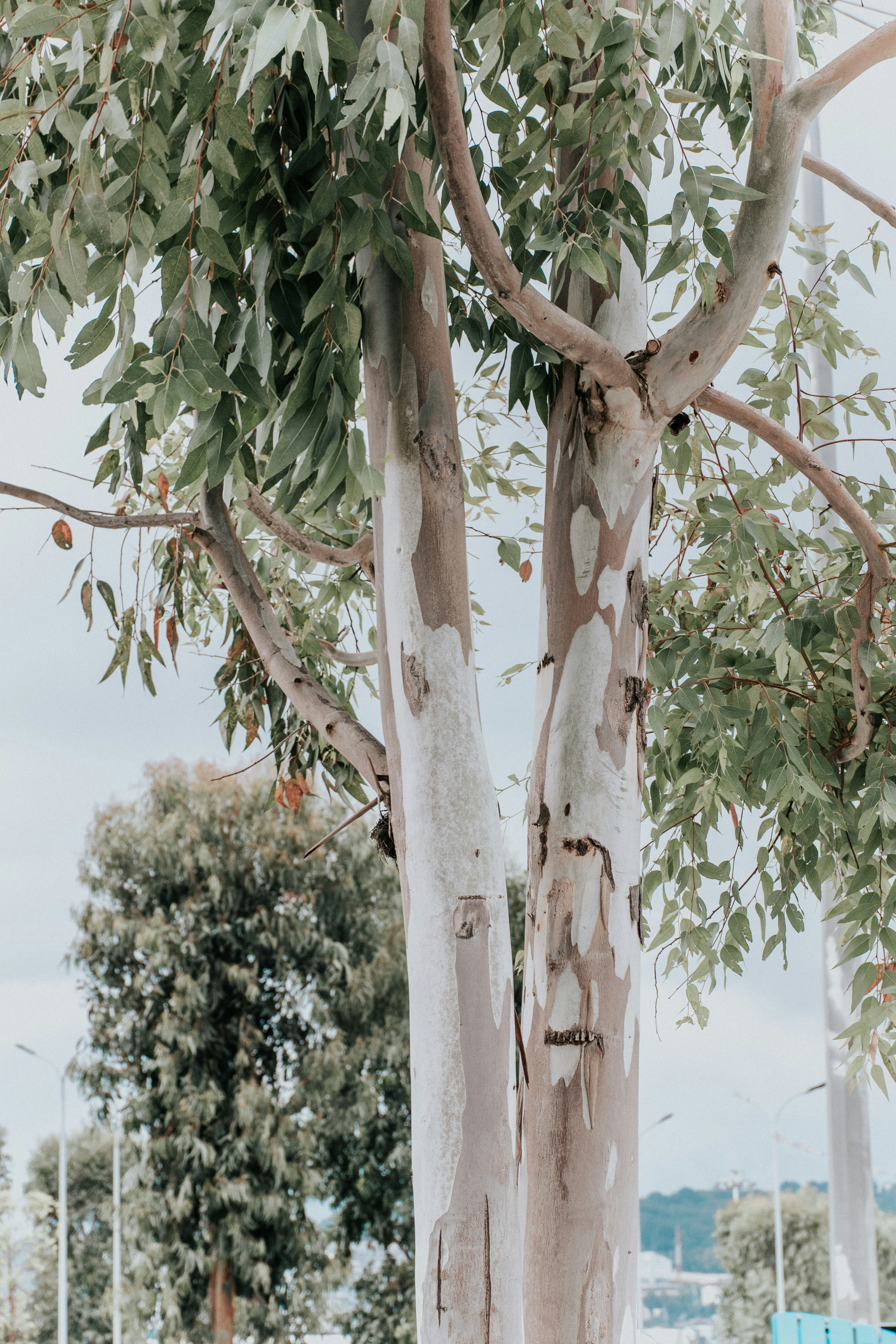 Photo by artcoastdesign