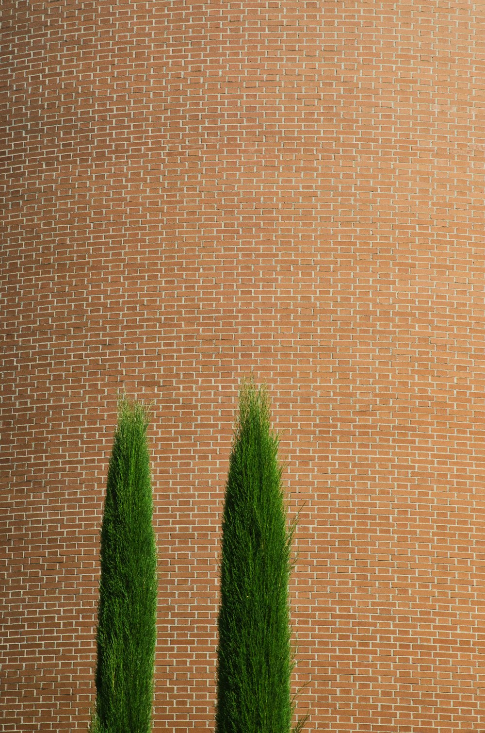 brown and green textile