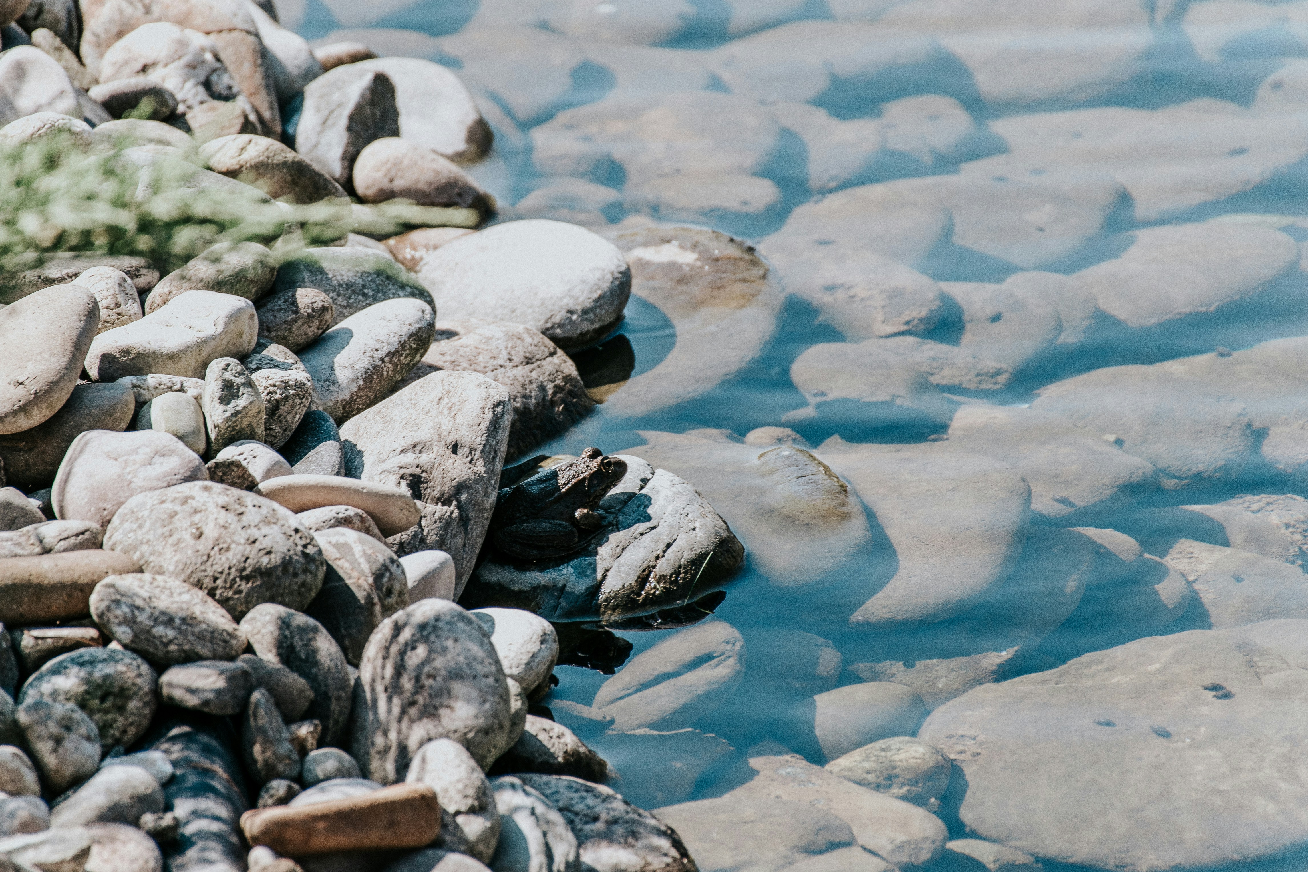 Photo by artcoastdesign