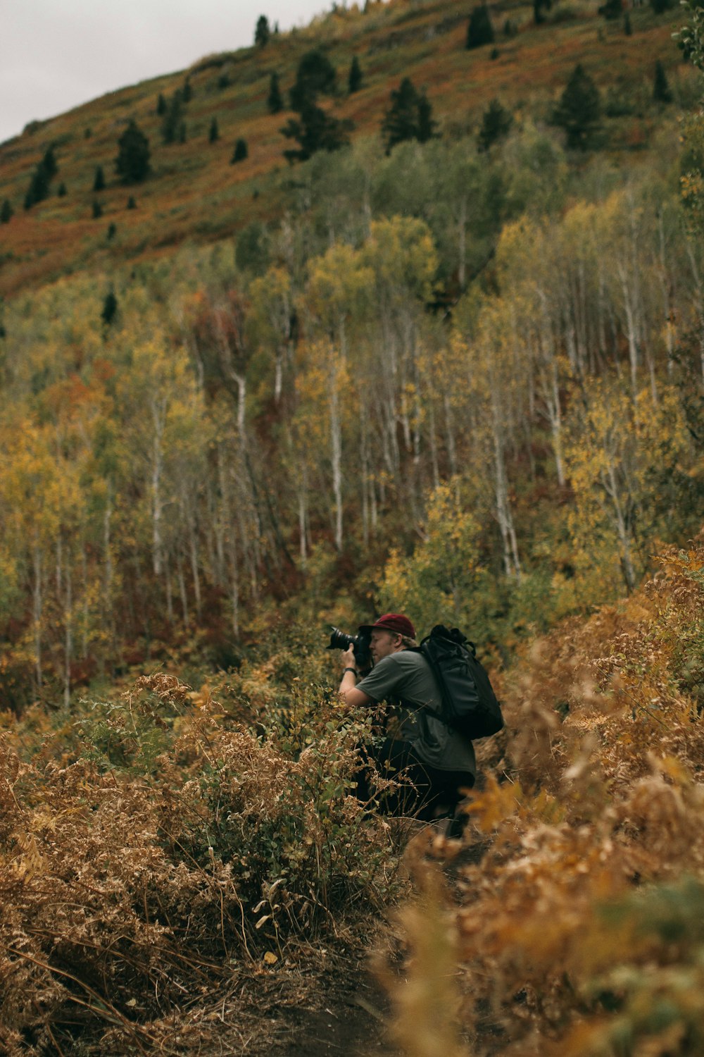 homme prenant une photo entouré d’arbres